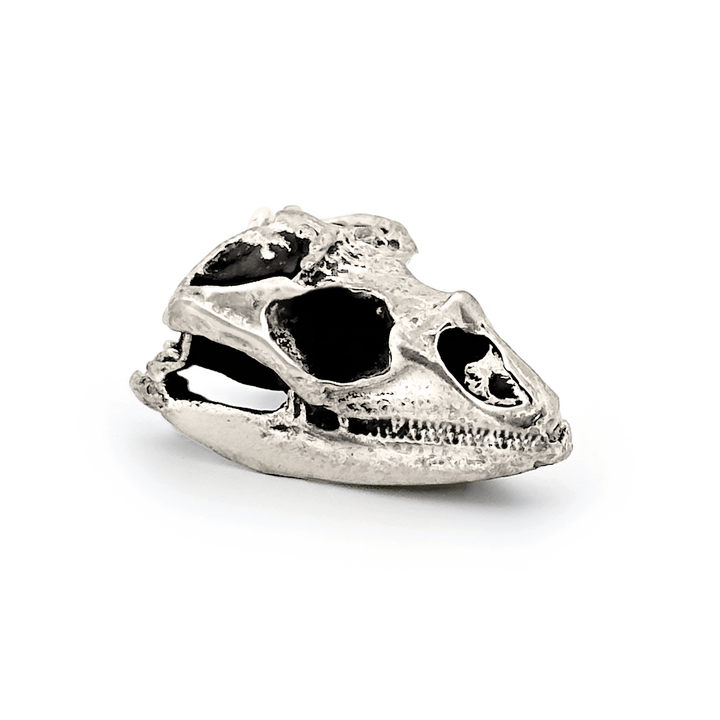 Sterling Silver Rhinoceros Iguana Skull Pendant by Fire & Bone