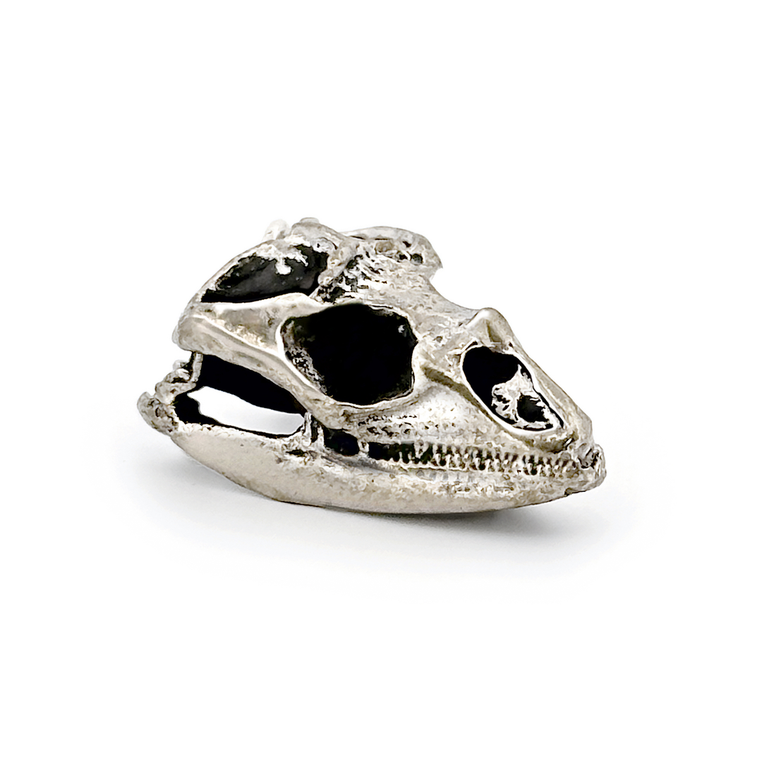 White Bronze Rhinoceros Iguana Skull Pendant by Fire & Bone