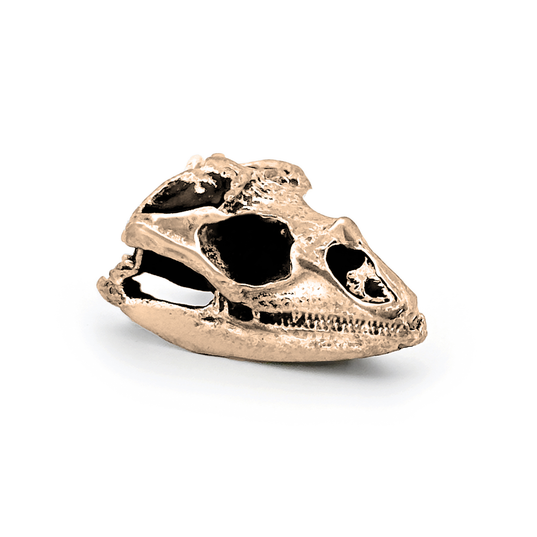 Yellow Bronze Rhinoceros Iguana Skull Pendant by Fire & Bone