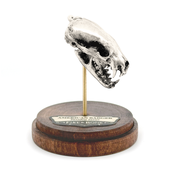 Sterling Silver American Badger Skull Pendant by Fire & Bone