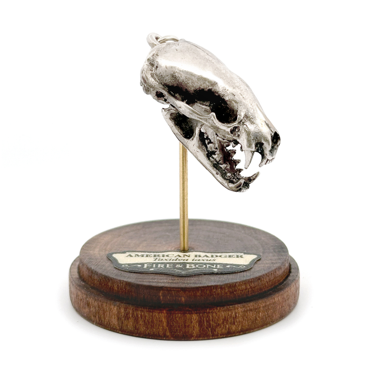 White Bronze American Badger Skull Pendant by Fire & Bone