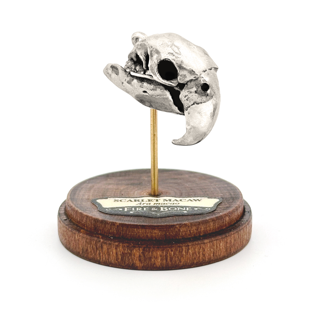 Sterling Silver Scarlet Macaw Skull Pendant by Fire & Bone