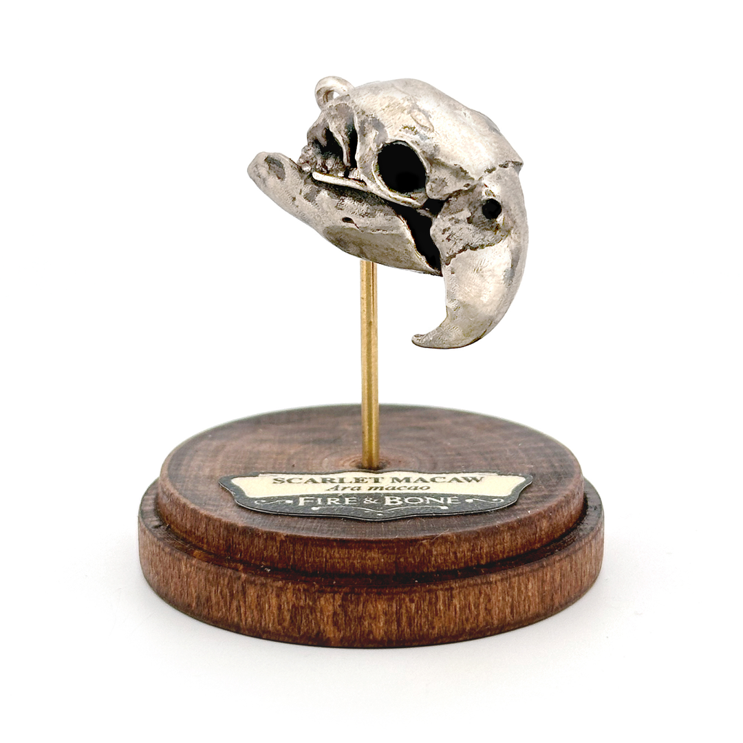 White Bronze Scarlet Macaw Skull Pendant by Fire & Bone