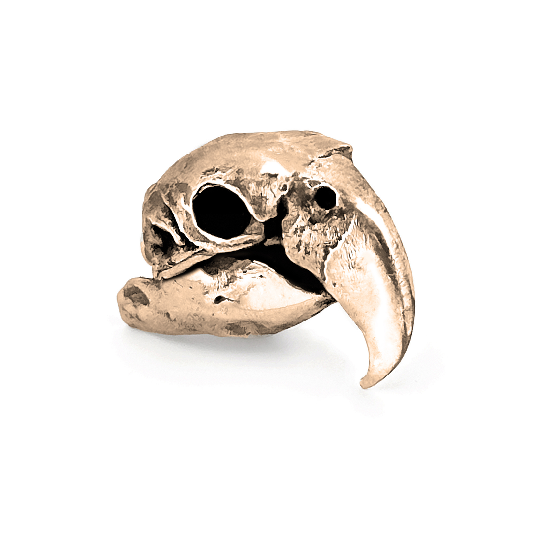 Yellow Bronze Scarlet Macaw Skull Pendant by Fire & Bone