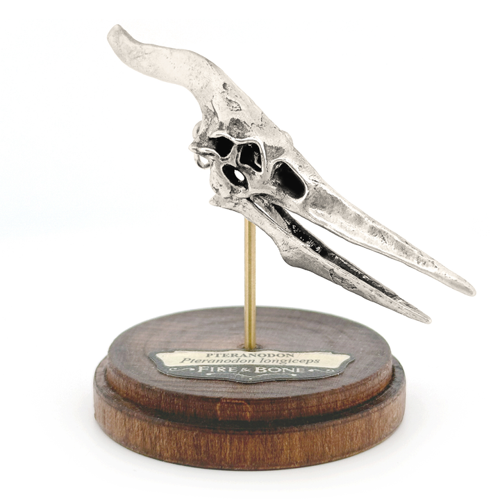 Sterling Silver Pteranodon Skull Pendant by Fire & Bone