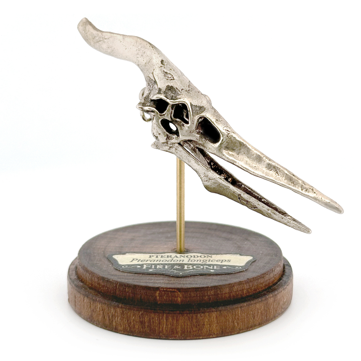 White Bronze Pteranodon Skull Pendant by Fire & Bone