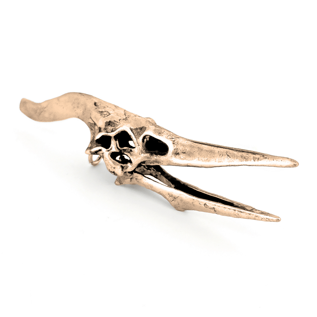 Yellow Bronze Pteranodon Skull Pendant by Fire & Bone