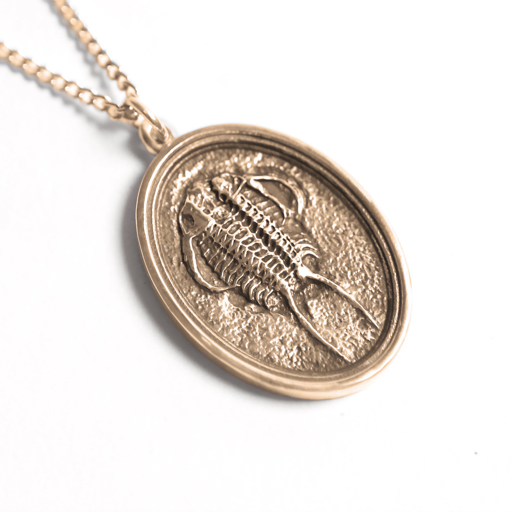 Trilobite Necklaces in Sterling Silver online and Gold