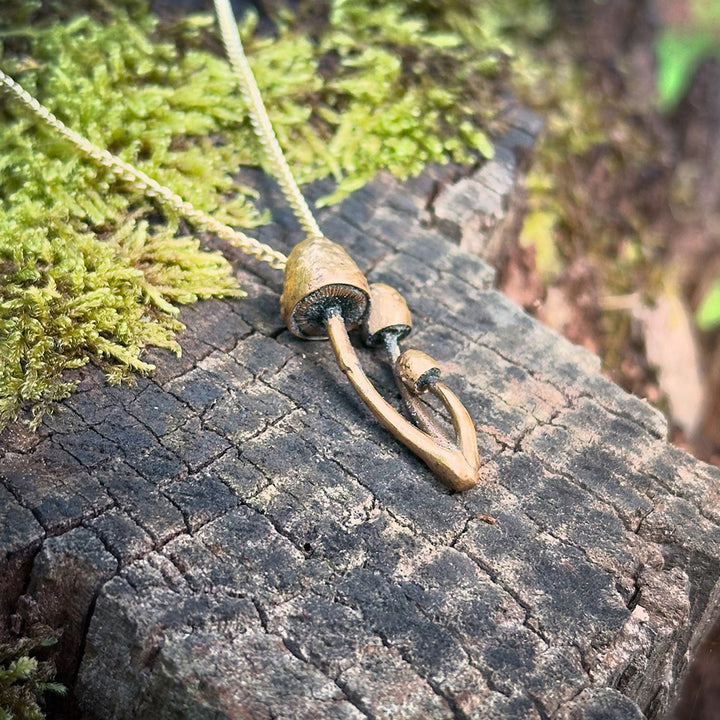 Gold Cap Mushroom